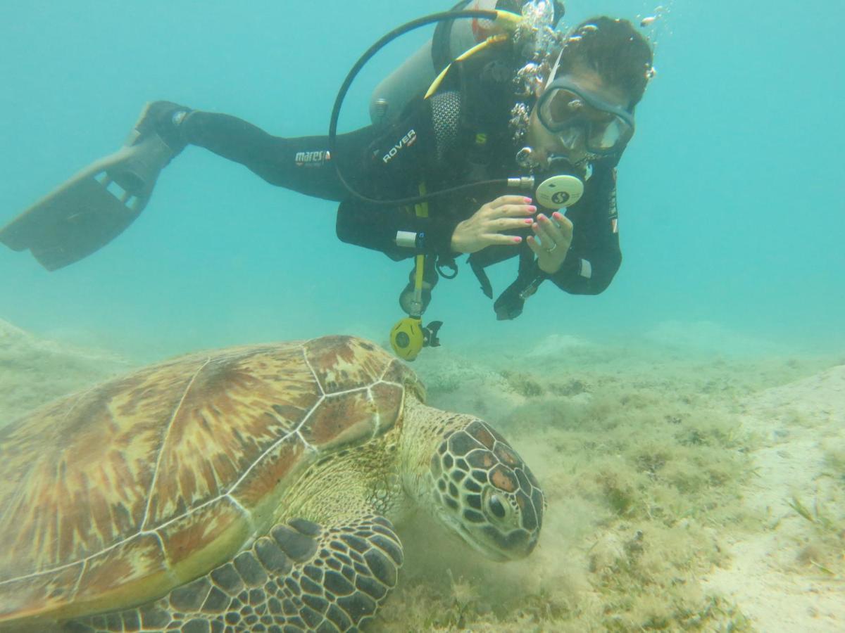 Blue Vision Diving Hotel Marsa Alam Luaran gambar