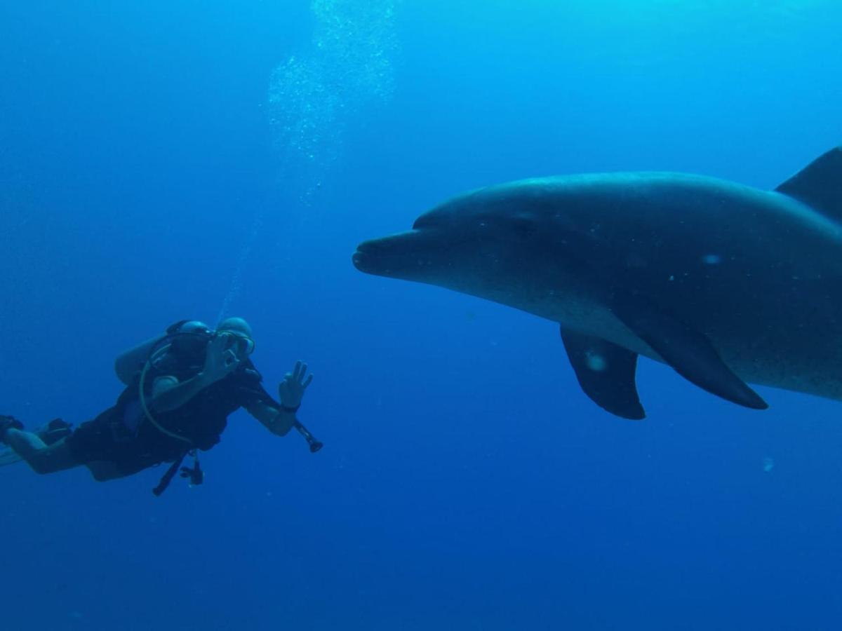 Blue Vision Diving Hotel Marsa Alam Luaran gambar