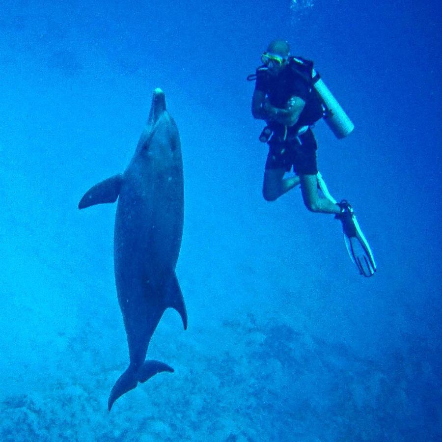 Blue Vision Diving Hotel Marsa Alam Luaran gambar